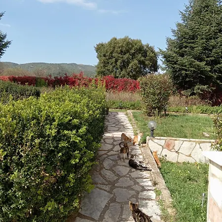 Valia Guest house Kalavryta
