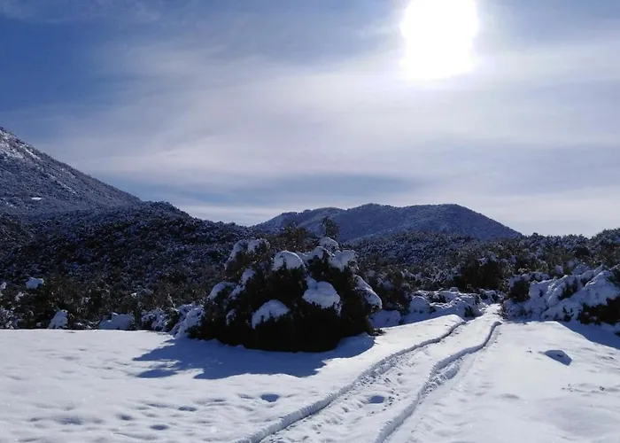 בית הארחה Valia