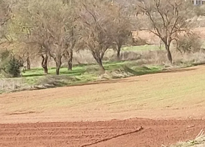 Valia בית הארחה 3*