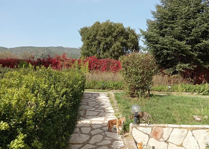 Valia 3* קלבריטה