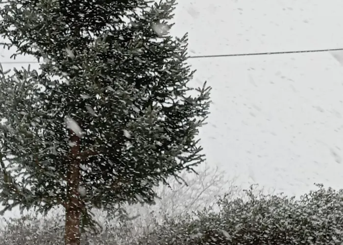 Valia קלבריטה